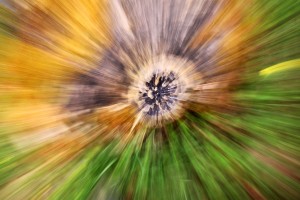 Fot. Magdalena Guzik