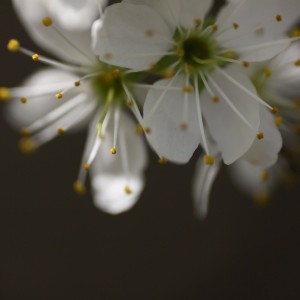 Fot. Magdalena Guzik