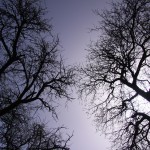 Fot. Magdalena Guzik