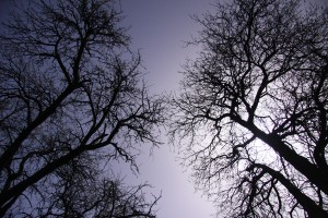 Fot. Magdalena Guzik