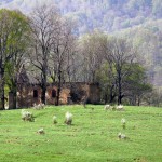 Fot. Magdalena Guzik