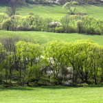 Fot. Magdalena Guzik