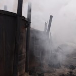 Fot. Magdalena Guzik