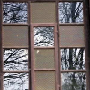 Fot. Magdalena Guzik