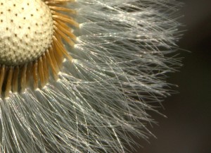 Fot. Małgorzata Oracz