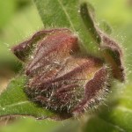 Fot. Małgorzata Oracz