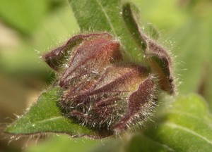 Fot. Małgorzata Oracz