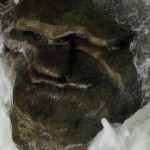 Fot. Małgorzata Oracz