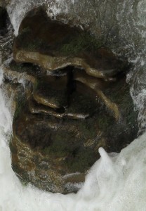 Fot. Małgorzata Oracz