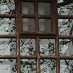 Fot. Małgorzata Oracz