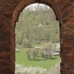 Fot. Małgorzata Oracz