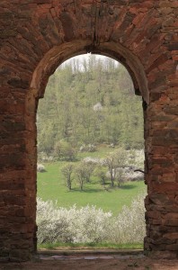 Fot. Małgorzata Oracz