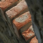 Fot. Małgorzata Oracz