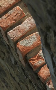 Fot. Małgorzata Oracz