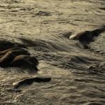 Fot. Małgorzata Oracz