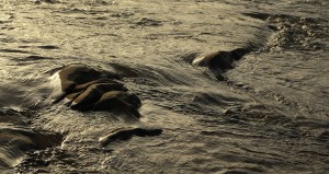 Fot. Małgorzata Oracz