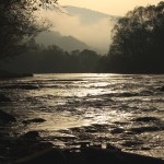 Fot. Małgorzata Oracz