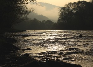 Fot. Małgorzata Oracz