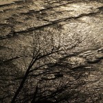 Fot. Małgorzata Oracz