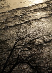 Fot. Małgorzata Oracz