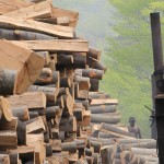 Fot. Małgorzata Oracz