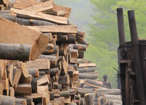 Fot. Małgorzata Oracz