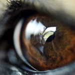 Fot. Weronika Banaszczyk