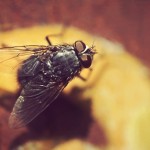 Fot. Weronika Banaszczyk