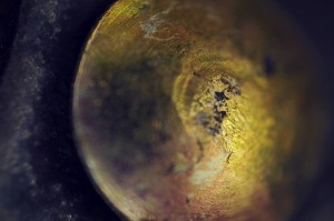 Fot. Weronika Banaszczyk