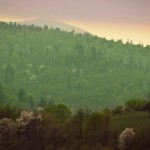 Fot. Weronika Banaszczyk