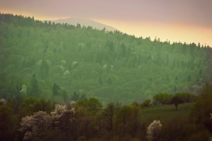 Fot. Weronika Banaszczyk