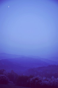 Fot. Weronika Banaszczyk