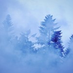 Fot. Weronika Banaszczyk