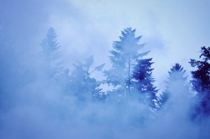 Fot. Weronika Banaszczyk