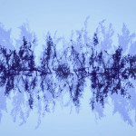 Fot. Weronika Banaszczyk