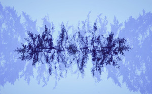 Fot. Weronika Banaszczyk