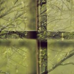 Fot. Weronika Banaszczyk