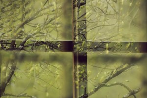 Fot. Weronika Banaszczyk