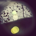 Fot. Weronika Banaszczyk