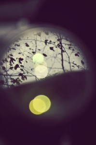 Fot. Weronika Banaszczyk