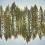 Fot. Weronika Banaszczyk