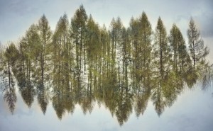 Fot. Weronika Banaszczyk