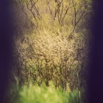 Fot. Weronika Banaszczyk