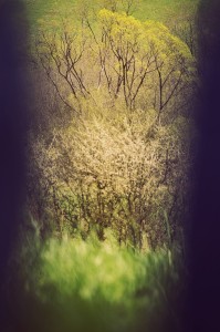 Fot. Weronika Banaszczyk