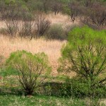 Fot. Zbigniew Bochenek