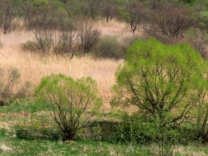 Fot. Zbigniew Bochenek