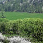 Fot. Zbigniew Bochenek