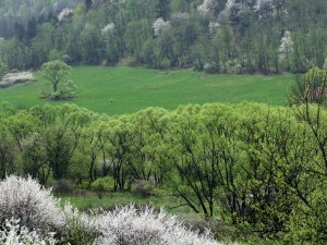 Fot. Zbigniew Bochenek