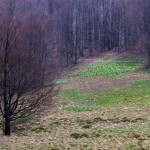 Fot. Zbigniew Bochenek