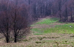 Fot. Zbigniew Bochenek